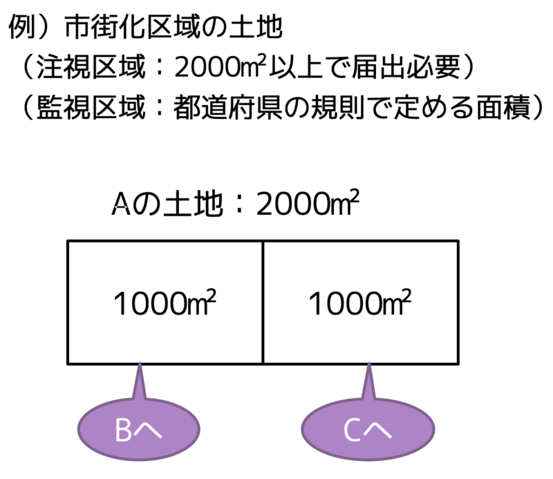 注視区域