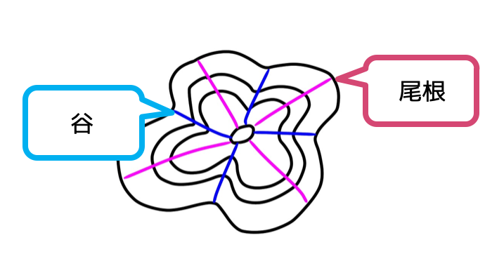 等高線尾根と谷