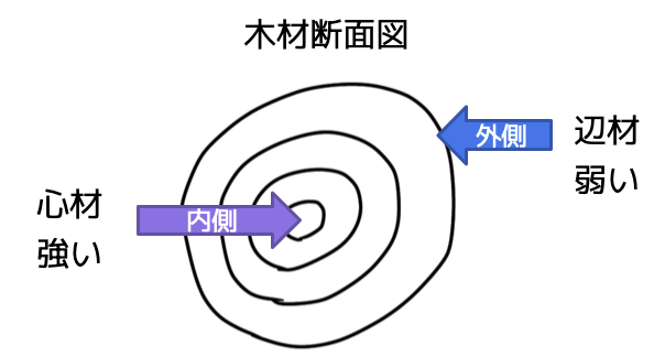 木材断面図